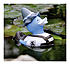Badeente Tracht