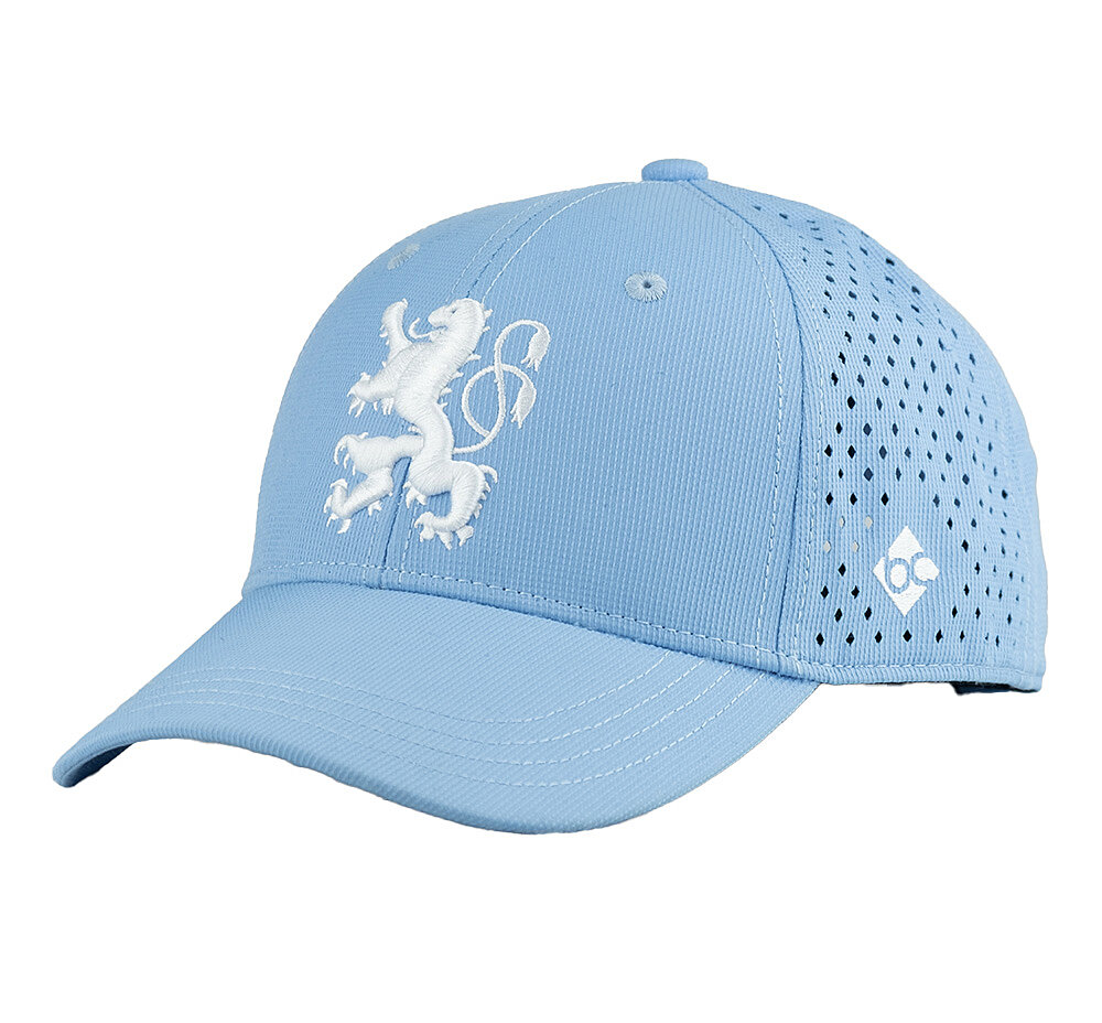 Cap BC Lwe Mesh